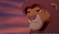 sp_screengrab_428.jpg