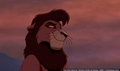 sp_screengrab_434.jpg