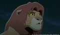 sp_screengrab_440.jpg
