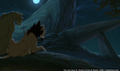sp_screengrab_456.jpg