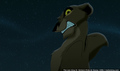 sp_screengrab_461.jpg