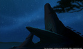 sp_screengrab_462.jpg