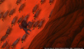 sp_screengrab_472.jpg