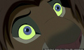 sp_screengrab_475.jpg