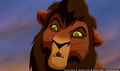 sp_screengrab_483.jpg