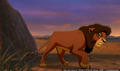 sp_screengrab_486.jpg