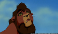 sp_screengrab_489.jpg