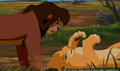sp_screengrab_490.jpg