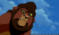 sp_screengrab_492.jpg