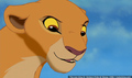 sp_screengrab_495.jpg
