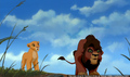 sp_screengrab_498.jpg