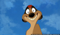 sp_screengrab_508.jpg