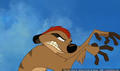 sp_screengrab_511.jpg