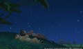 sp_screengrab_530.jpg