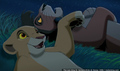 sp_screengrab_531.jpg