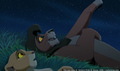 sp_screengrab_533.jpg