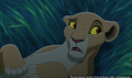 sp_screengrab_535.jpg