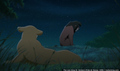 sp_screengrab_540.jpg