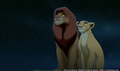 sp_screengrab_545.jpg