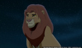 sp_screengrab_550.jpg