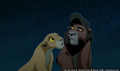 sp_screengrab_552.jpg