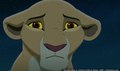 sp_screengrab_556.jpg
