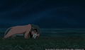 sp_screengrab_557.jpg
