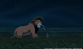 sp_screengrab_558.jpg