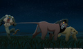 sp_screengrab_562.jpg