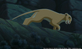 sp_screengrab_564.jpg