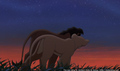 sp_screengrab_586.jpg