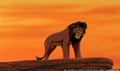 sp_screengrab_609.jpg