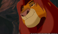 sp_screengrab_611.jpg