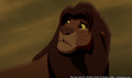 sp_screengrab_622.jpg