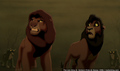 sp_screengrab_625.jpg