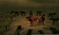 sp_screengrab_626.jpg