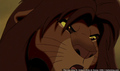 sp_screengrab_628.jpg
