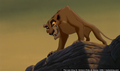 sp_screengrab_639.jpg