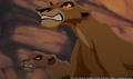 sp_screengrab_646.jpg