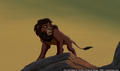 sp_screengrab_650.jpg