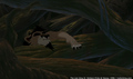 sp_screengrab_664.jpg