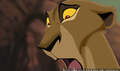 sp_screengrab_665.jpg