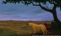 sp_screengrab_672.jpg