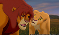 sp_screengrab_674.jpg