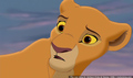 sp_screengrab_675.jpg