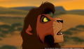 sp_screengrab_716.jpg