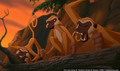 sp_screengrab_717.jpg