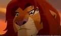 sp_screengrab_720.jpg