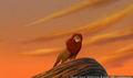 sp_screengrab_733.jpg