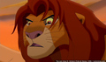 sp_screengrab_735.jpg